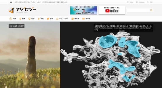 FC82620260125051211_co