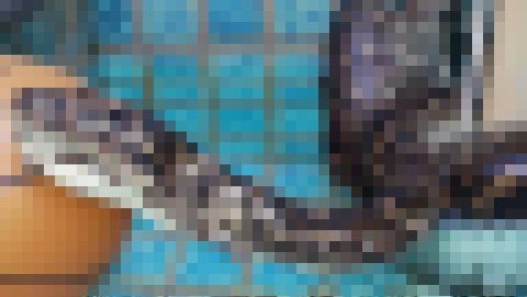 49415724_993043990890464_2431260727181312000_o