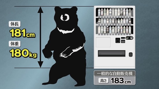 f7a70112-aadd-4648-bf76-907e641426f4_co