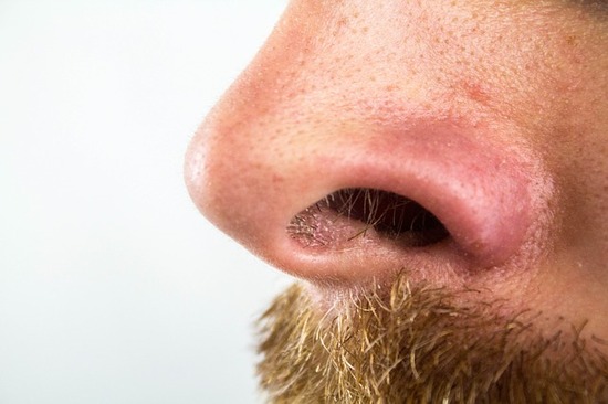nose-2790325_640