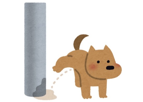 スクリーンショット 2022-07-12 15.47.32のコピー