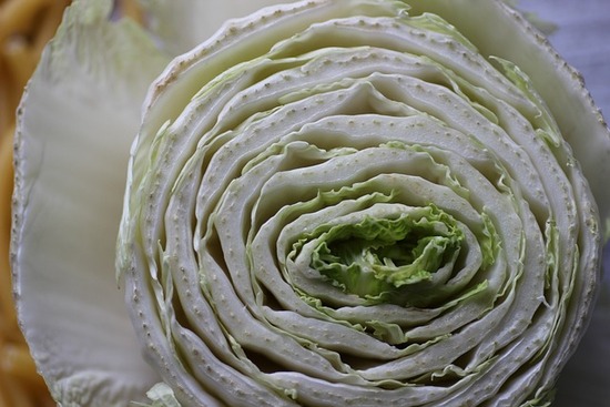 chinese-cabbage-gd591ff0dc_640