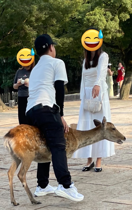 29babfb1-7bae-4c9c-954d-9798a7026ef2_co