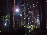 FUJI ROCK'07 019