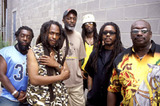 STEEL PULSE