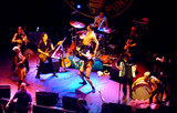 GOGOL BORDELLO