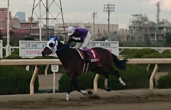 第4回園田ウインターカップはナチュラリー逃連覇