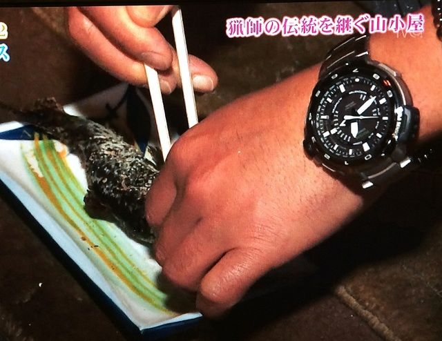 藤井フミヤ カシオ プロトレック マナスル 芸能人が着けてる時計が好きなオヤジのブログ