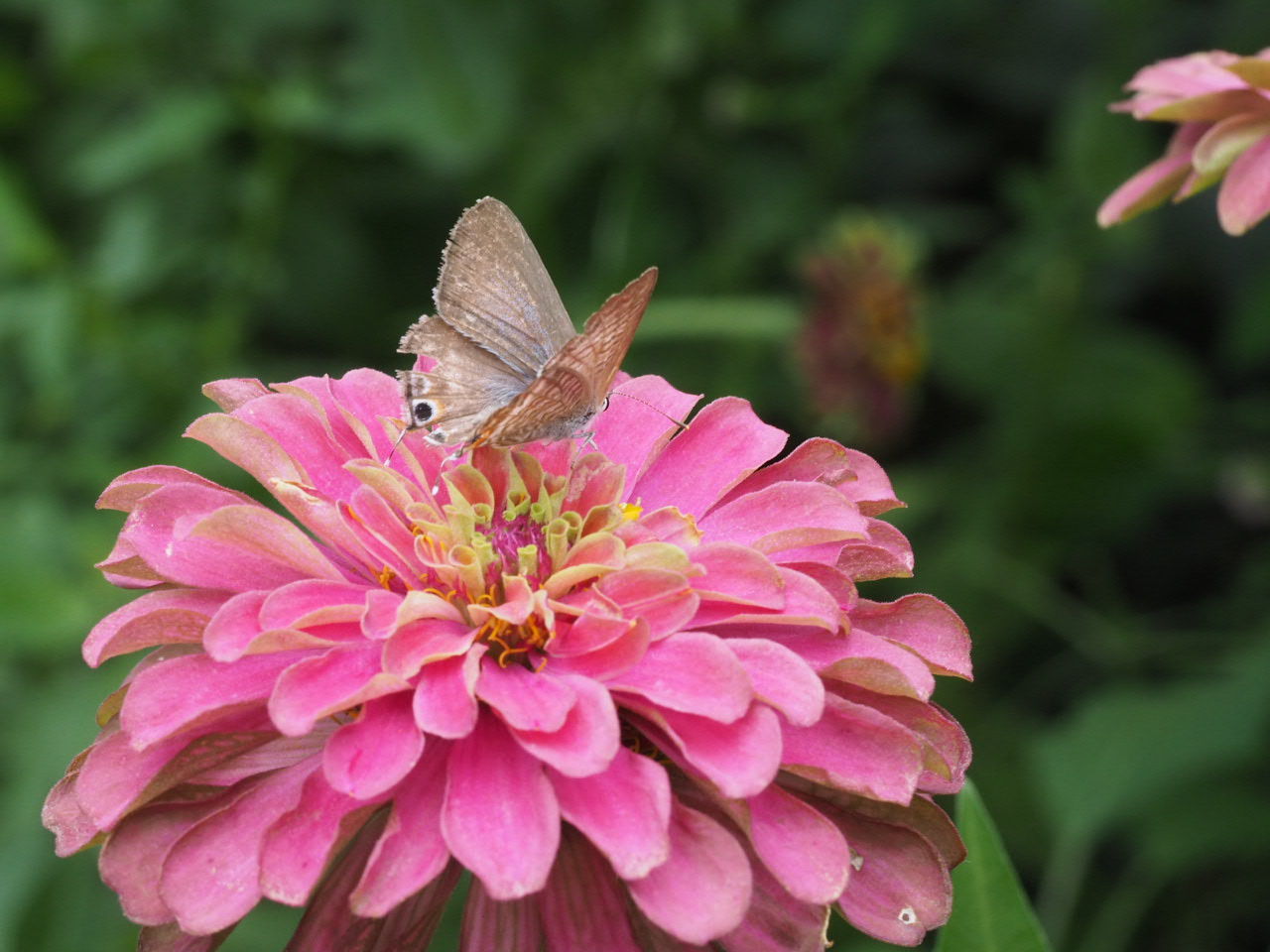 eaebd464.jpg eaebd464.jpg