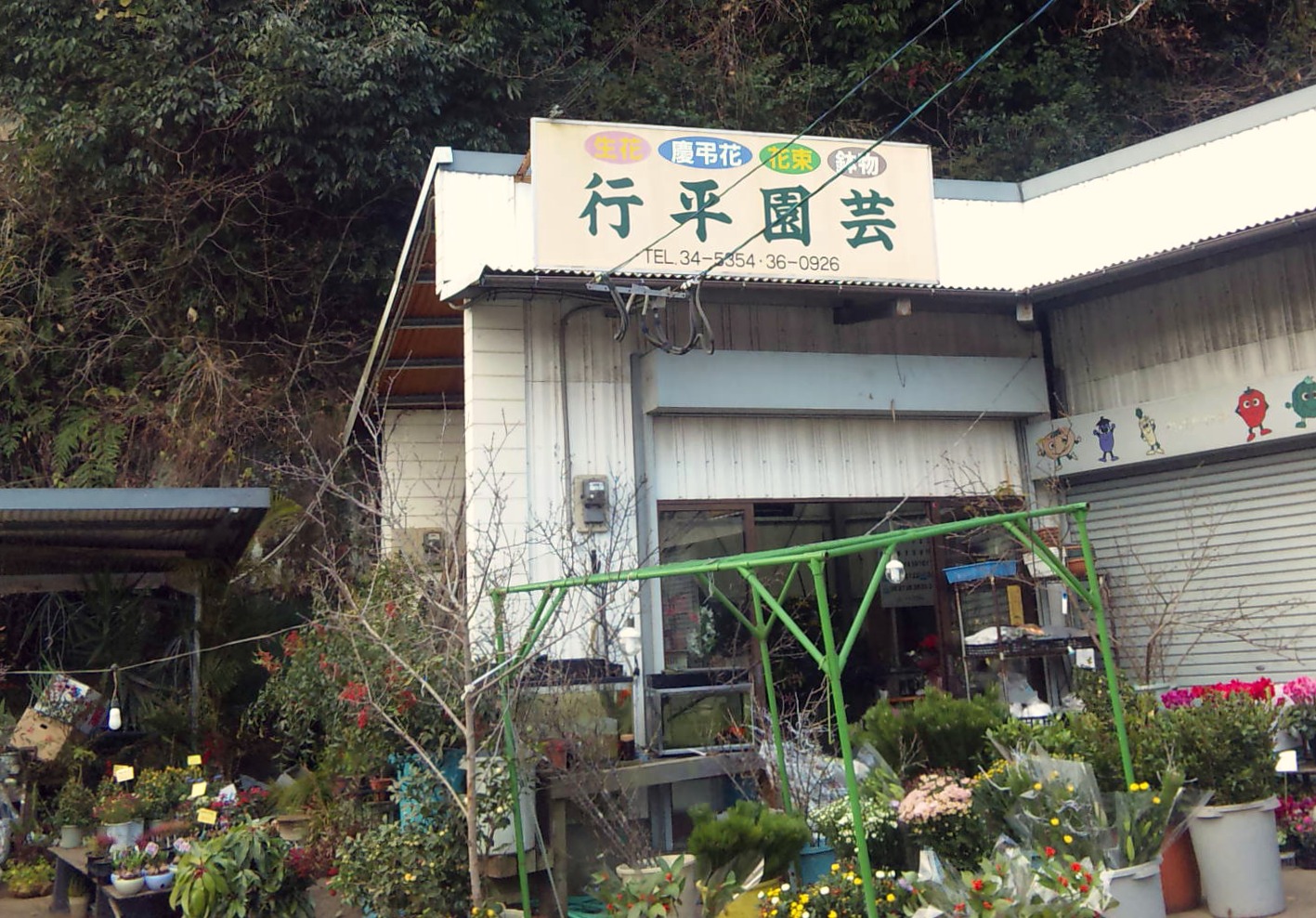 お花屋さんで 迷子のワンコに出会いました 大分市 ふわふわもこもこ がったん
