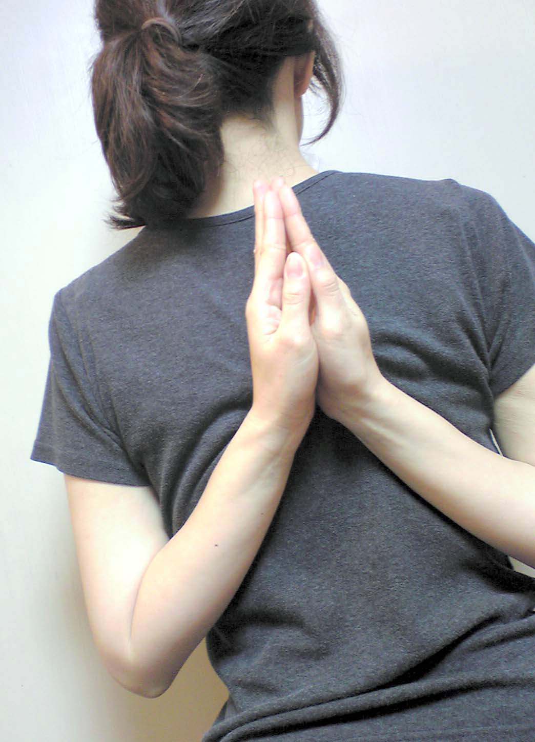 このやわらかさはヨガをはじめる前から ふわふわもこもこ がったん