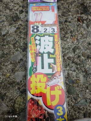 IMGP1734