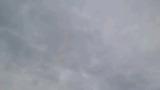 cda5283e.jpg