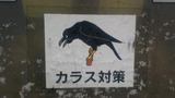 edb0a619.jpg