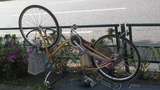 fe5ec041.jpg