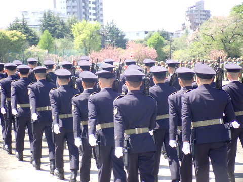 P4122183
