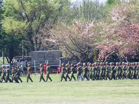 P4122163
