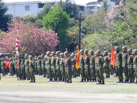 P4122173