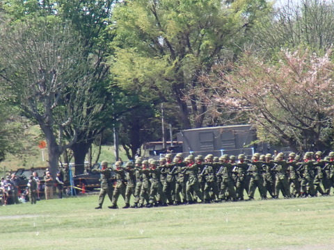 P4122165