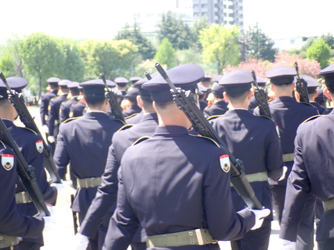 P4122182