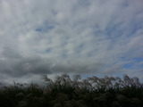 2013-10-22-20131022_141237