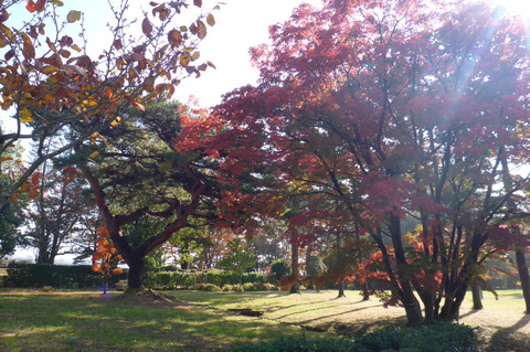 P1020313