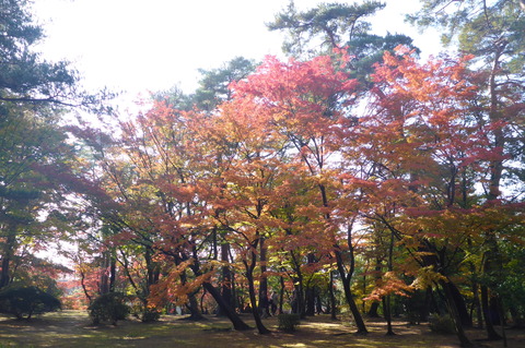 P1020304