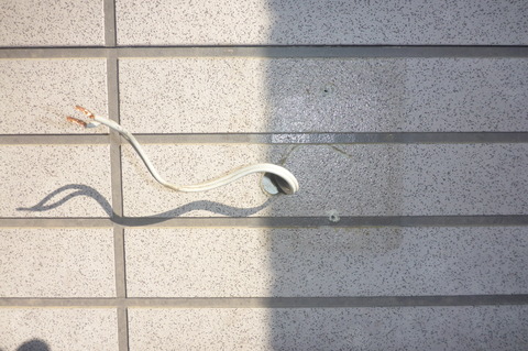 P1020586