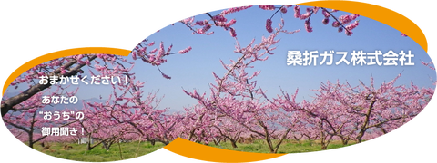 ブログ開設しました！