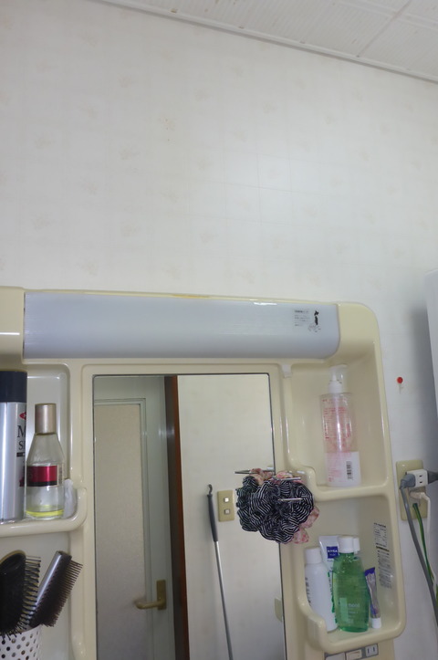 P1020265