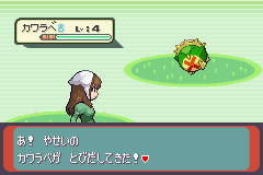 改造ポケモンシリウス 古音 静波 何気ない日々