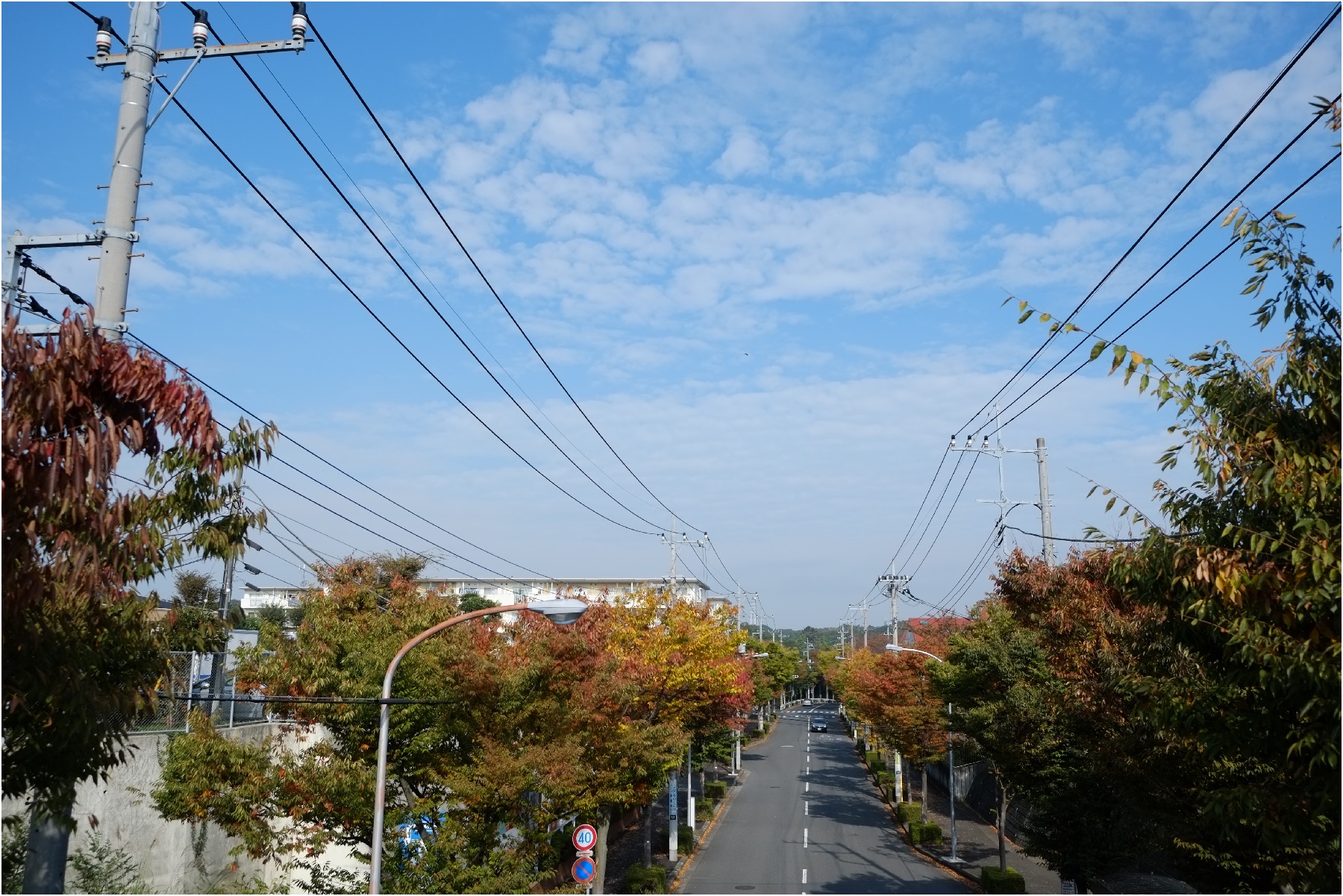 2dc7b811.jpg