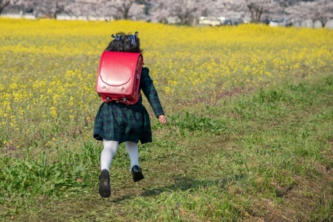 【悲報】50代弱者男性、JSを誘拐しようとして男子小学生に撃退されるｗｗｗｗｗｗｗ