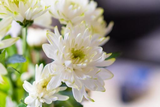 【訃報】指揮者の小澤征爾さん死去　８８歳