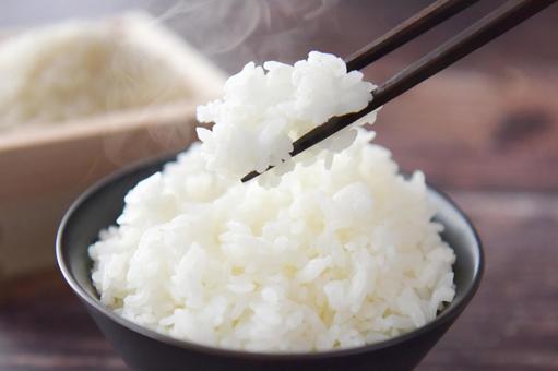 【悲報】「白米は毒」説、割とガチ臭いwwwwwwwwwwwwwww