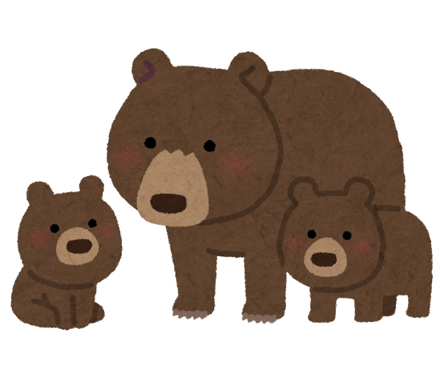 【新潟】牛舎にやせたクマが入ってきて…牛と一緒に餌を食べる　牛20頭に被害なし