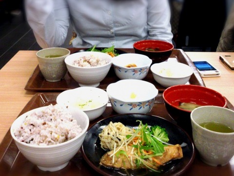 【悲報】食券をコピーして使った県庁職員を懲戒処分「ワイシャツの胸ポケットに入れたまま洗濯して白い塊になった分を取り戻そうと…」　
