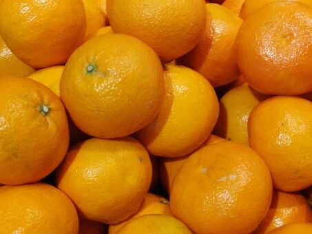 【悲報】中国、ミカンの食べ過ぎで体調不良者増加