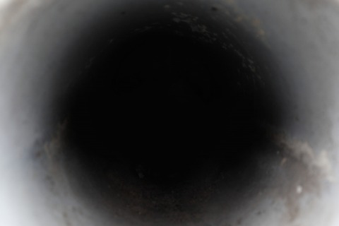 29036711_s