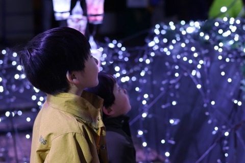 【画像】福岡・博多に畳が敷き詰められたイルミネーション映えスポットが誕生！仕事帰りのOLが殺到し話題に