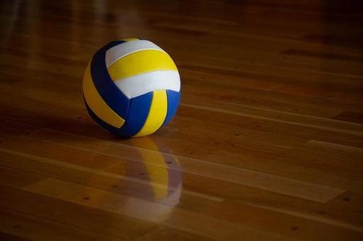 大学女子バレー、トランスジェンダーが無双する