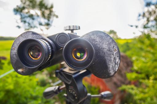 【動画】鳥さん、木に擬態するがバレてしまい撫でられる