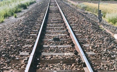 29829765_s