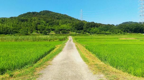 都会に住むより田舎に住んだ方が幸せっていうけどさ