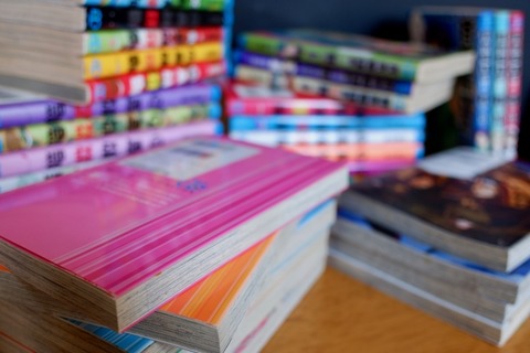 漫画家「本当は書きたくないんですけどビジネスで書きました」←超名作