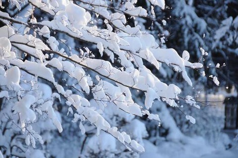 “10年に一度レベル”の寒波か　気象庁が「大雪に関する早期天候情報」を発表　５日間の降雪量は平年の２倍以上