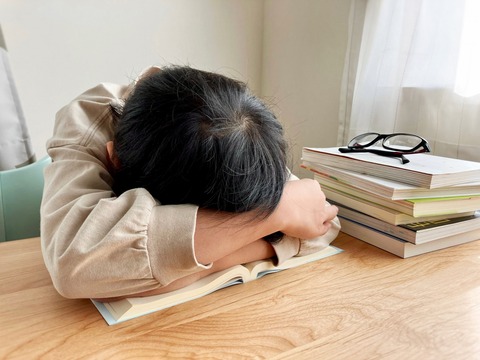 【悲報】日本の子供の語彙力、かつてないレベルまで落ちる・・・
