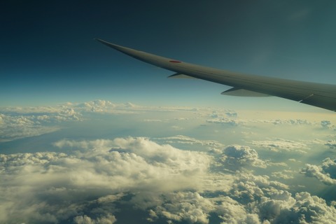 「鳥が翼に挟まり、着陸できない」…航空機事故、地上の家族にメッセージ