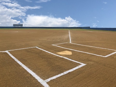 【画像】「くまのプーさん」、韓国プロ野球リーグのチャリティマッチで打席に登場　“リアルホームランダービー”だと話題に
