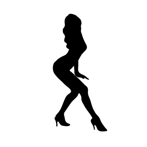 窓際に全裸の女性、わざと盗撮させる「美人局」で3700万円脅し取る